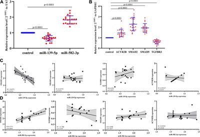 Use of miRNA Sequencing to Reveal Hub miRNAs and the Effect of miR-582-3p/SMAD2 in the Progression of Hepatocellular Carcinoma